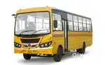 School Bus driver