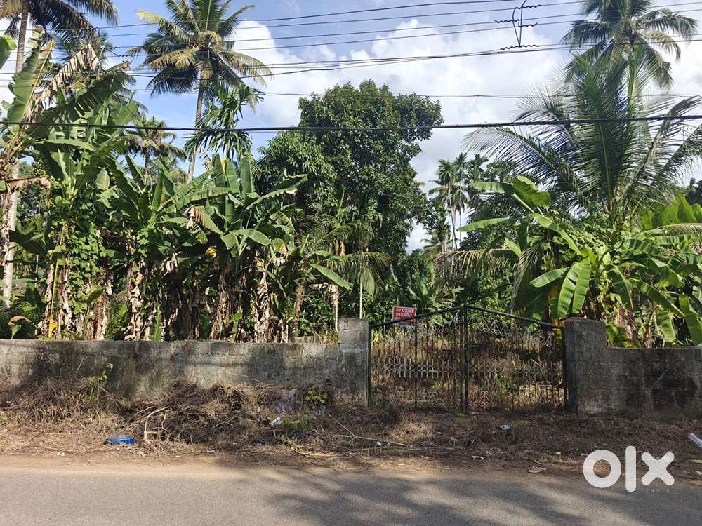 20 cent plot For Sale