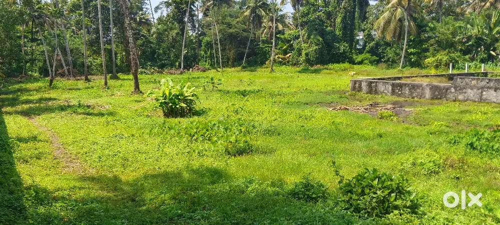 Koonammavu Highway 100 metr distance