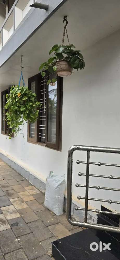 2 vacancies available one for Supermarket and one house maid