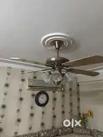 Designer ceiling fan