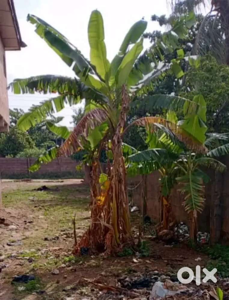 Hotspot location plot for sale