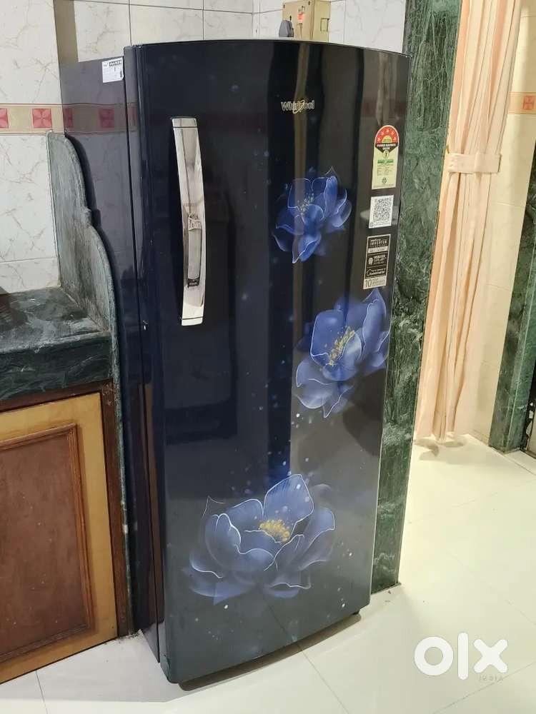 Refrigerator with Inverter Technology