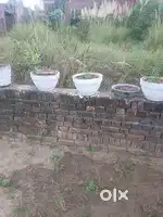 Plot for sale 50 gaj by pass chakkar road near mother divine school