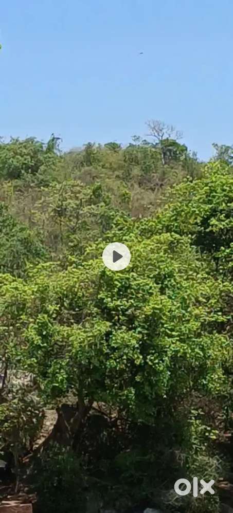 Recidencial land and house manathavady 60 cent