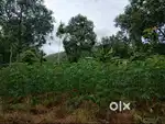 11 Cent plot for sale Chalakkappara, Kanjiramattom