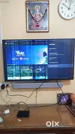 Mitv 4a pro 49 inch