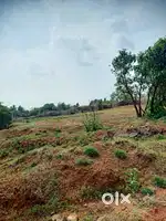 8 Cent house plot sale in Palakkad