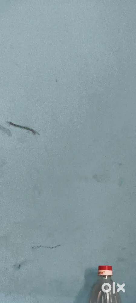 Becholre saath rehna