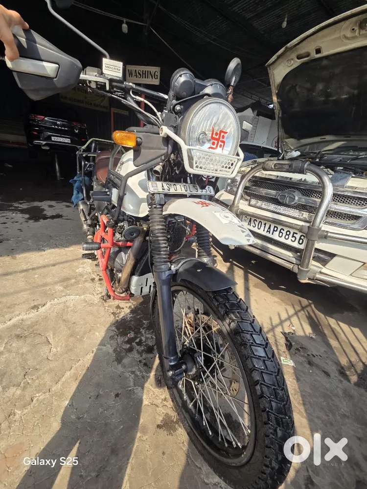 Himalayan Snow White BS4 2017