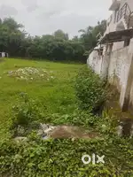 Plot for sale