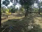 PLOT FOR SALE