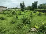 Only for adivasi plot
