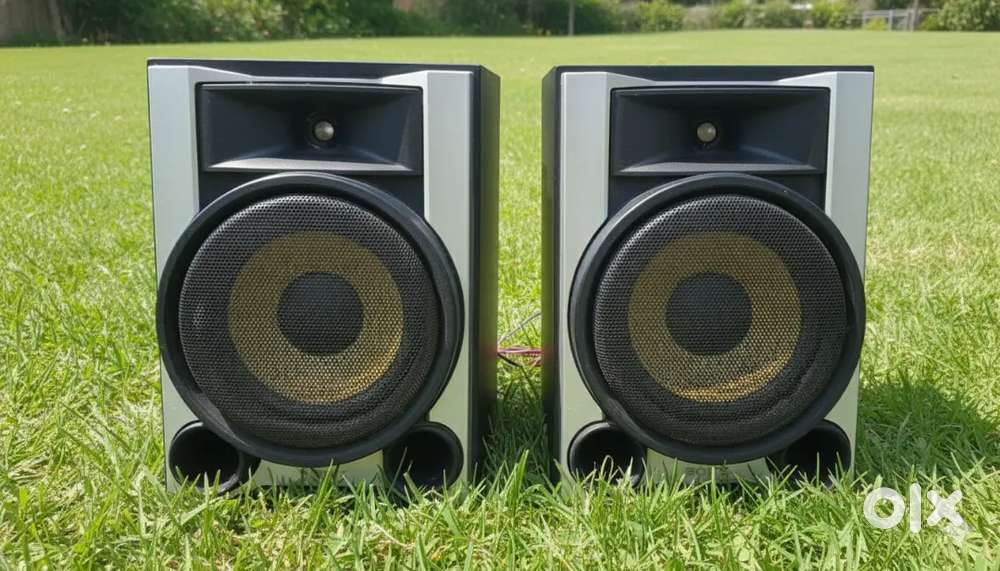 Sony system speaker box Rms 240