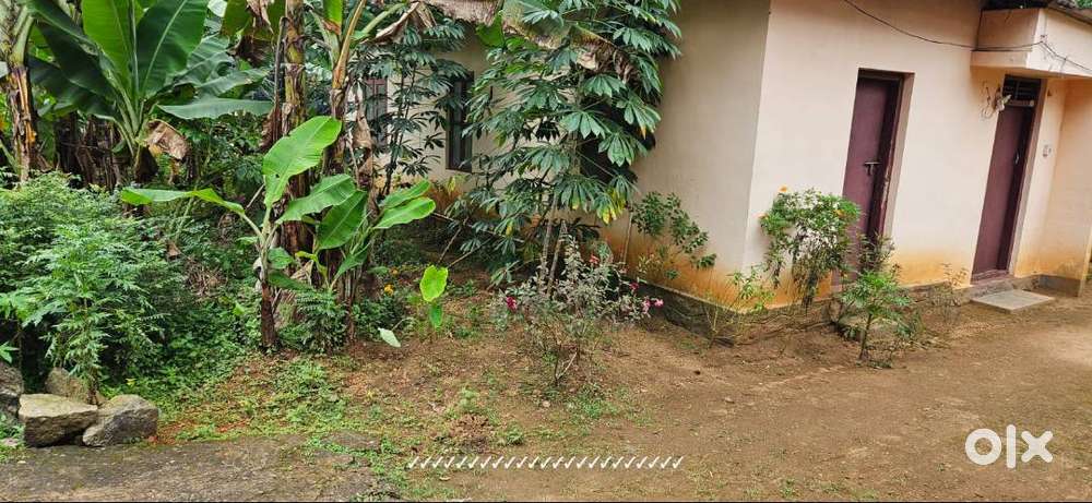 7 Cent plot and small house