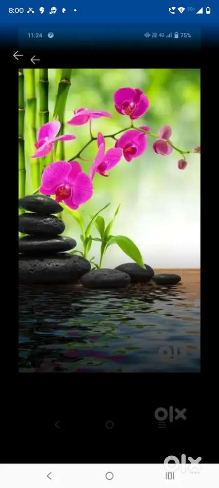 Spa job girls required