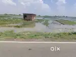 Patna plot for sell