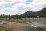 INDEPENDENT LAND