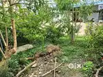 My father land