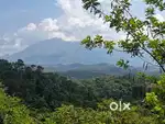 1.75 Acre Resort/Holiday house land@Wayanad