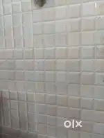 Excellent domestic location