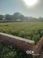 I want to sell this plot urgent