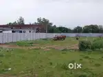 Invest for your children golden future