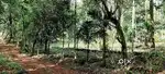 50  cent Land for sale in Kadumeni