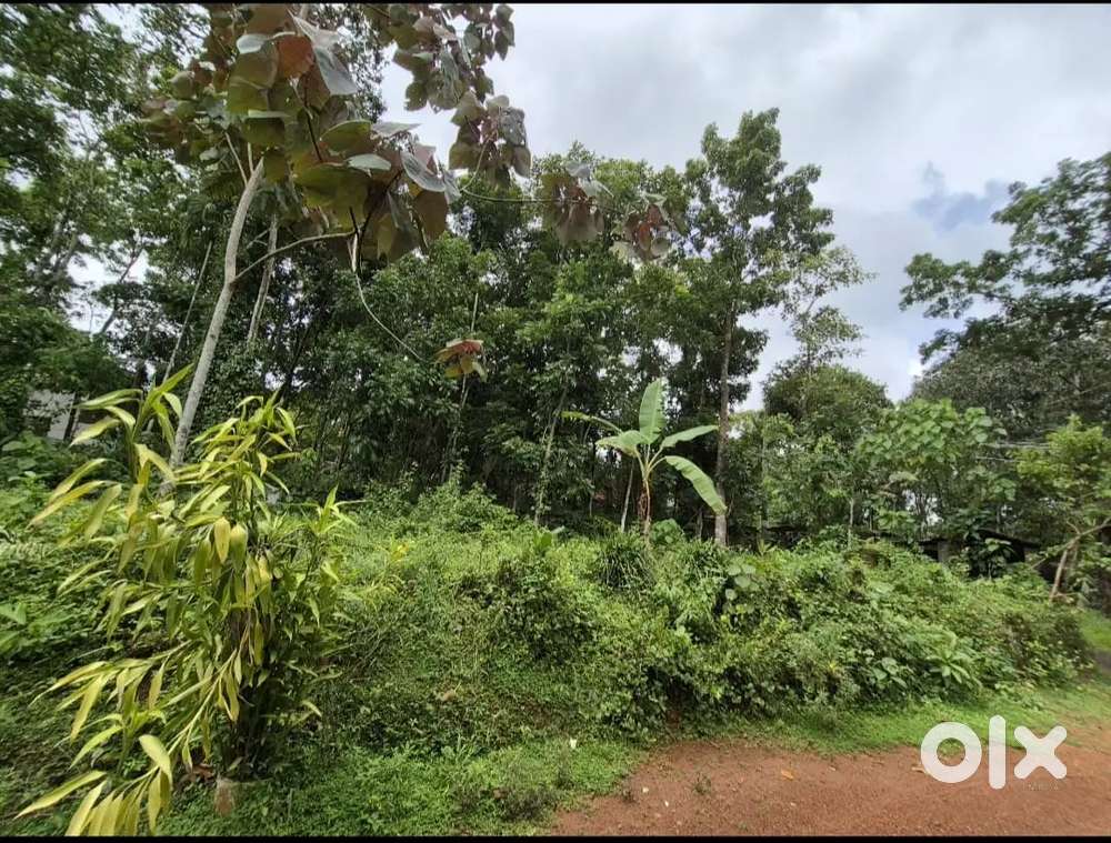 Elavumthitta, Pathanamthitta District