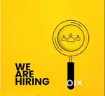 Accountant required