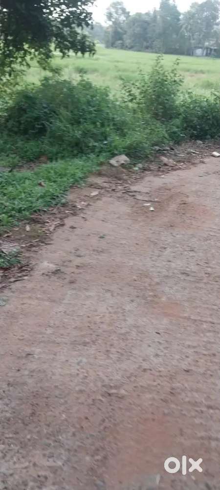 16 cent house plot for sale near Chengannur
