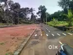 Matherappele 2.60വില പുരയേടം