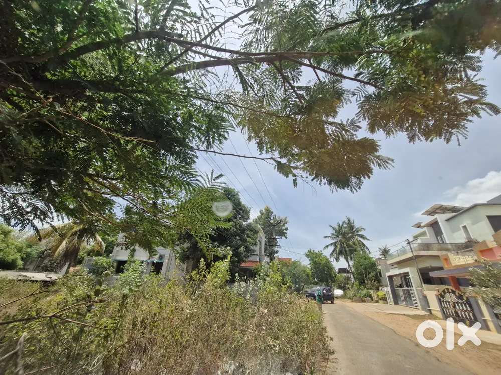 9.5 CENT RESIDENTIAL PLOT FOR SALE EB COLONY NANJIKOTTAI ROAD TANJORE