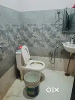Looking for a Roommate