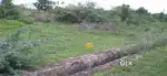 PLOT FOR SALE BEFORE NANNUR TOLL PLAZA INSIDE KESHAVA REDDYSCHOOL ARCH