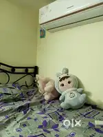 Room sharing room only female