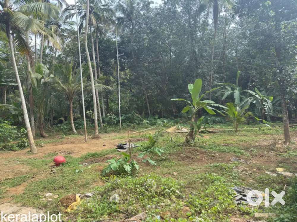 10 Cent Land For Sale Vattiyoorkav Kulashekaram Shankaranarayana