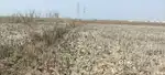 Plot Near Navi Mumbai Airport