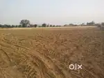 Agriculture land