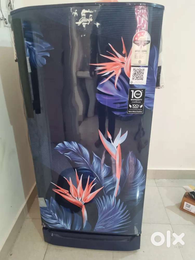 1 yr old fridge