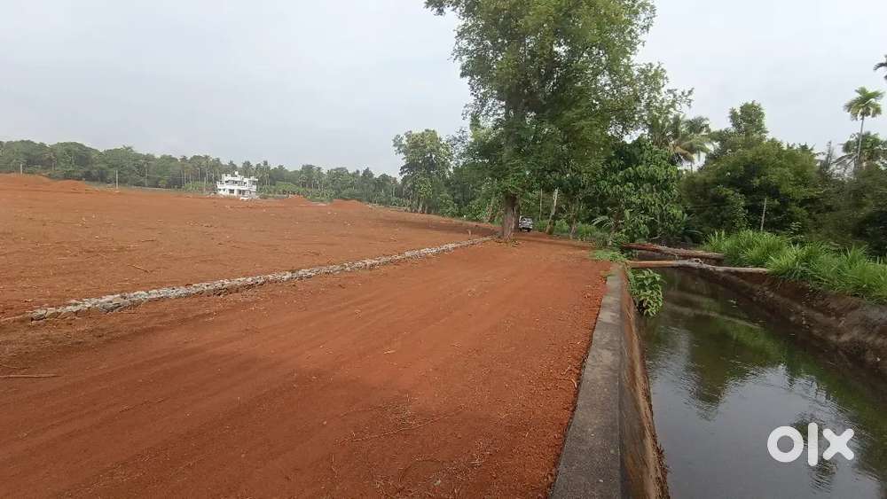 4, cent, 5 cent, 8 cent, 10 cent plots available Chalakudy koratty