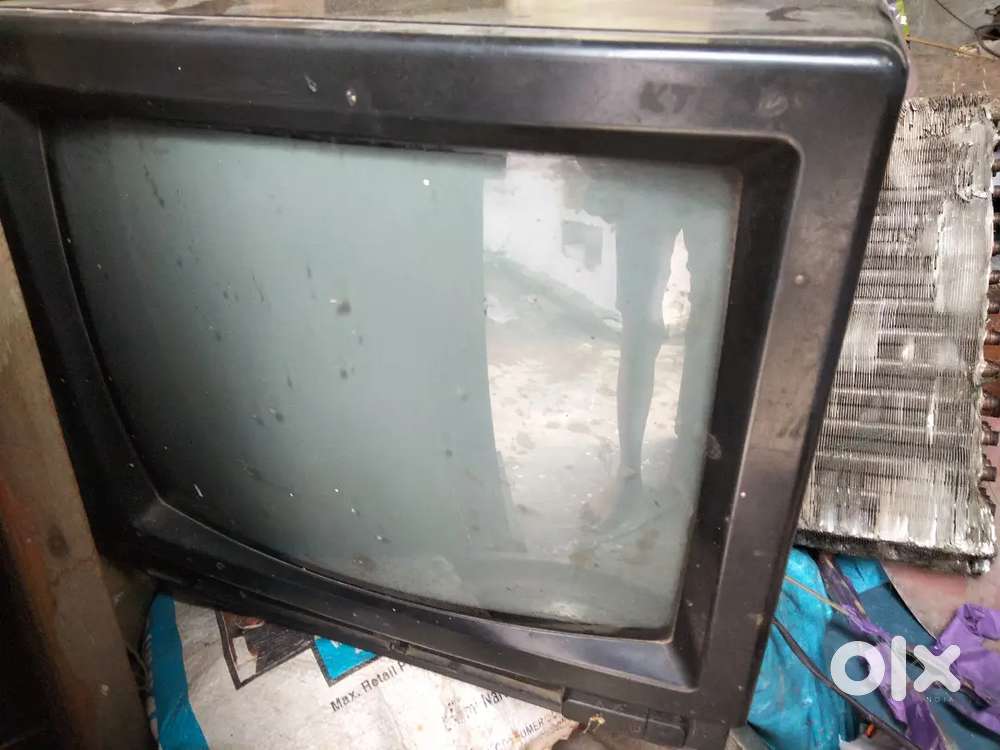 Meri TV size 12 se upar inchi mein hogi and supervis