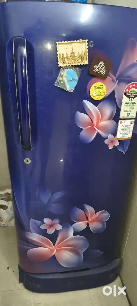 LG fridge power saving