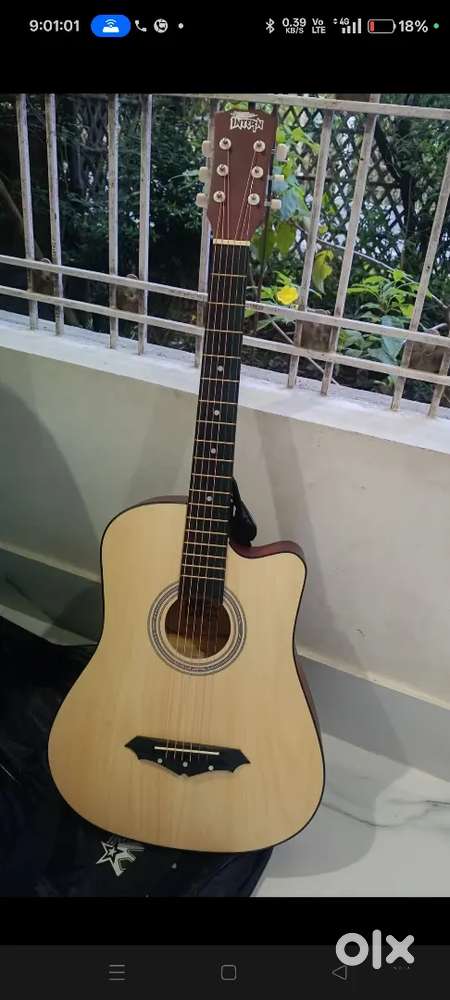 New guitar