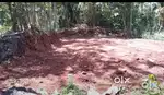 Ottapalam East manisseriyil 5 cent plot sale. per cent 2.60 lak