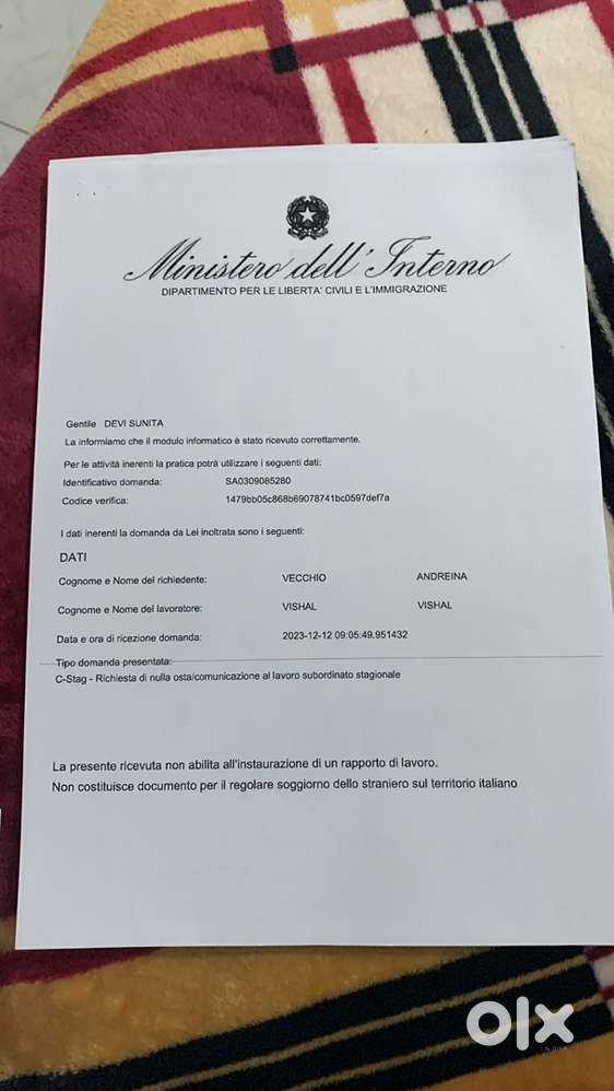 Need boy or girl for photostate shop