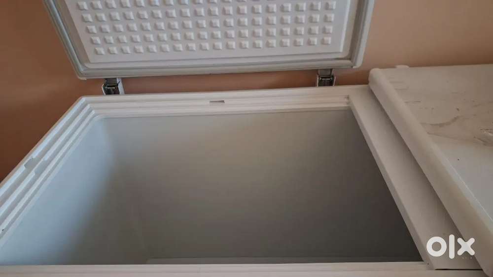 500 ltr deep freezer.  Blue star