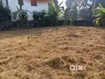 Land for urgent sale or lease in Thrissur, Irinjalakuda with wall,well