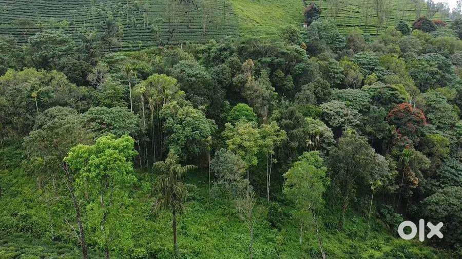 Resort land 2 acres at Vagamon 1.5 lakh/cent