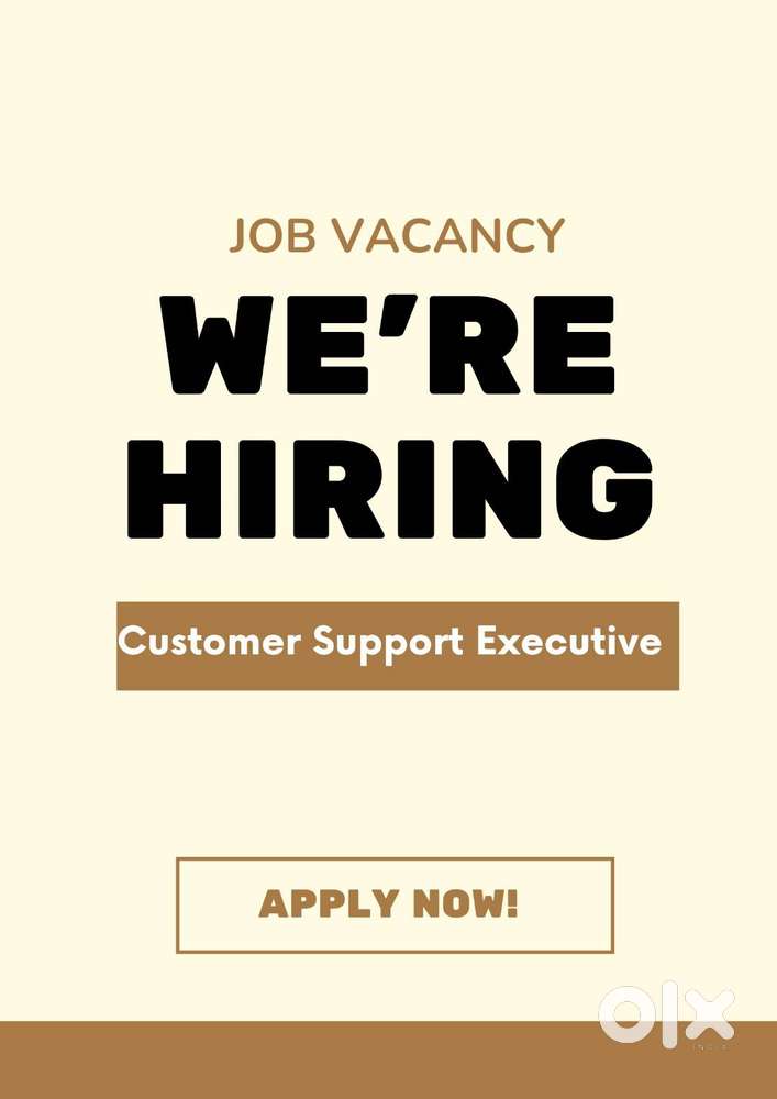 Customer Support Executive